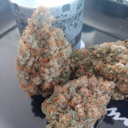 Franco's Lemon Cheese