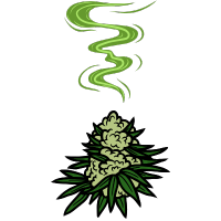 Geruchsarme Hanfsorten | BestCannabisSeeds.at