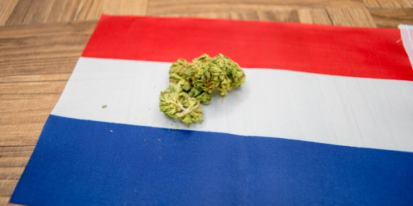 Wie sind die Preise für Cannabis in den Niederlanden?